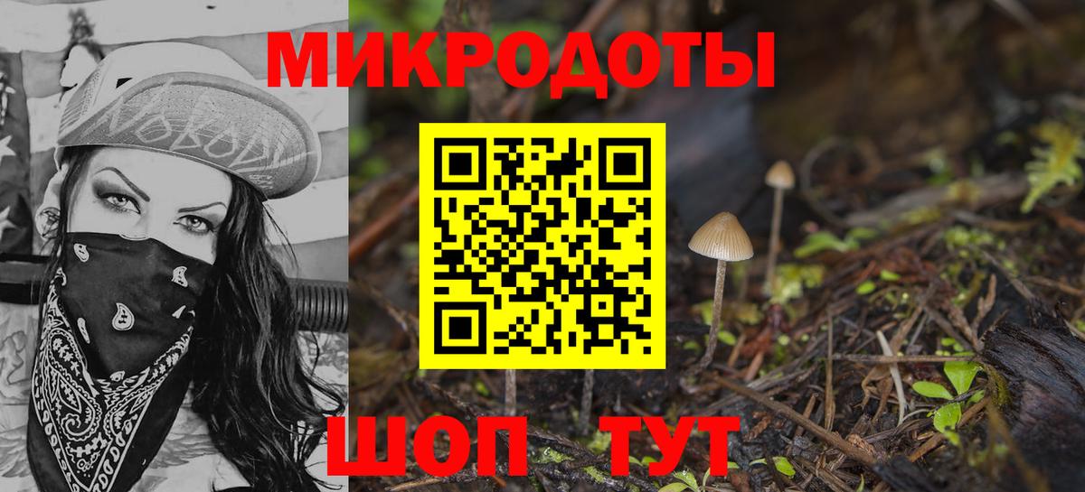 Псилоцибиновые грибы Psilocybe  Вход с VPN  Узловая 